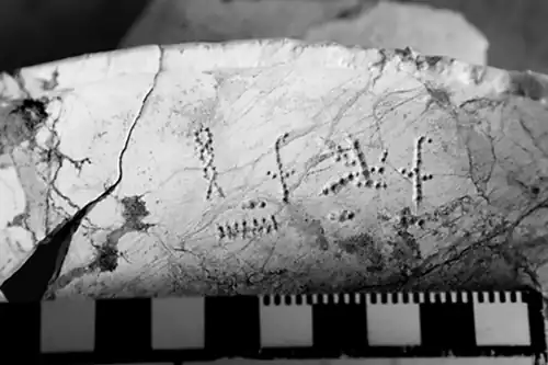 Bol provenant de la tombe AS 54 d'Abousir et portant l'inscription « Nesout-bity Houni » (IIIe&nbsp;dynastie).