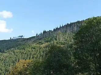 Vue du Petit Brézouard à gauche et du Grand Brézouard à droite.