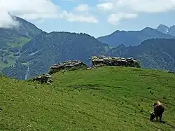Braña (braniza) à Caso. Zone montagneuse cantabrique où le bétail paît dans les pâturages de fin d'été.