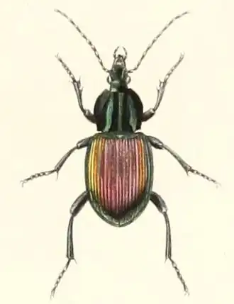 Description de cette image, également commentée ci-après