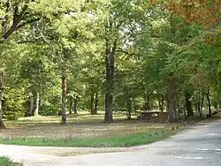 Image illustrative de l’article Forêt de la Braconne