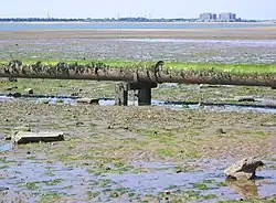 Bradwell, vue du tuyau d'évacuation des eaux usées.
