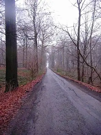 Image illustrative de l’article Bois de la Houssière