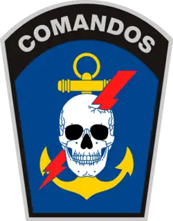 Image illustrative de l’article Batalhão de Operações Especiais de Fuzileiros Navais