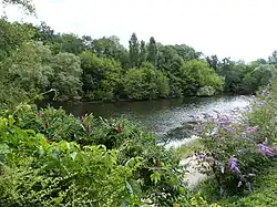 Bras de la Dordogne à Carennac.
