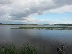 Parc de la Brenne