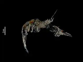 Description de cette image, également commentée ci-après