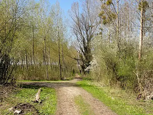 Les marais de Bresles.