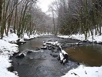 Image illustrative de l’article Forêt de Blanchefort