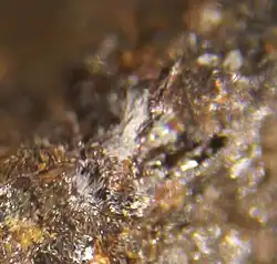 Image illustrative de l’article Brianite