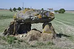 Image illustrative de l’article Palet de Gargantua (Brizay)