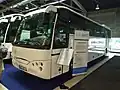 TAM Marbus midibus