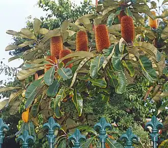 Description de cette image, également commentée ci-après