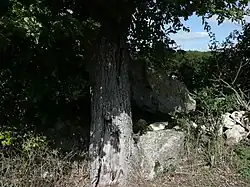 Le dolmen de Chantepierre.