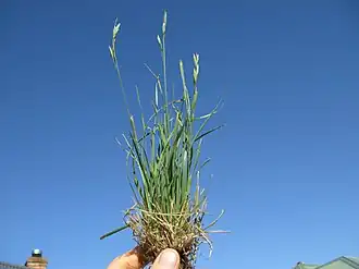 Description de cette image, également commentée ci-après