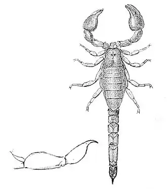 Description de cette image, également commentée ci-après