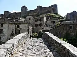 La chaussée du pont vue depuis la rive droite.