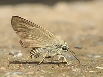 Description de cette image, également commentée ci-après