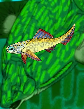 Bruntonichthys