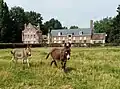 Ânes devant la ferme de Beaumer.