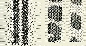 Description de l'image Bulletin (1971-) (20236635109).jpg.