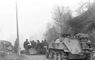 Image illustrative de l’article 21e corps d'armée de montagne (Allemagne)