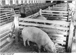 Allemagne, 1959