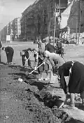 Des jeunes gens cultivent des légumes sur la place, 1946.
