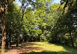 Image illustrative de l’article Château de Baldern