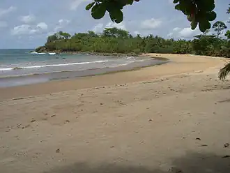 Plage de Busua.
