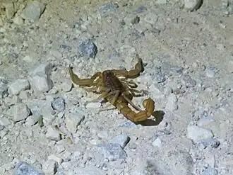 Description de cette image, également commentée ci-après