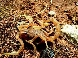 Description de cette image, également commentée ci-après