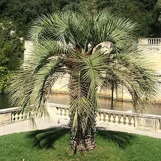 Description de cette image, également commentée ci-après