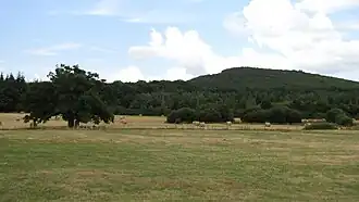 La butte Chaumont au sud de La Roche-Mabile.