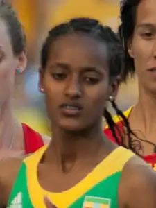 Image illustrative de l’article Buze Diriba