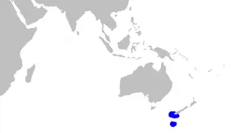 Description de l'image Bythaelurus_dawsoni_distmap.png.