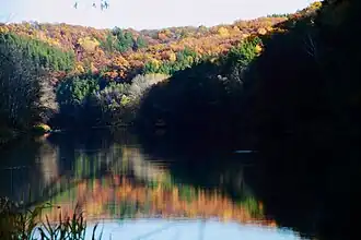 Bord de rivière.