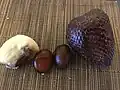Fruits de Salacca zalacca