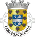 Blason de Cabeceiras de Basto