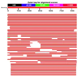 Description de l'image CCDC132 Blast Results.png.