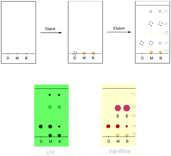 Exemple d'un suivi de réaction par CCM