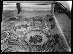 Villa gallo-romaine de Boscéaz : vues de la mosaïque dite des Divinités de la semaine, photographies d'Albert Naef, 1896.