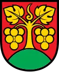 Blason de Bühl