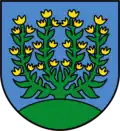 Blason de Meierskappel