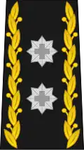 Insigne du grade de divisionnaire de l'armée suisse