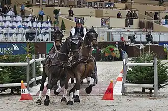 Image illustrative de l’article Boyd Exell