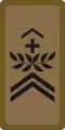 OR-6 - Sergent-major