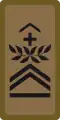 OR-7b - Sergent-major chef
