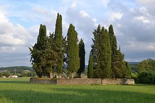 Le cimetière protestant.