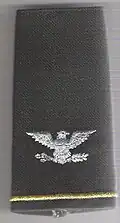Colonel